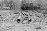 waste deposit_011